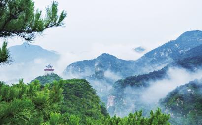 鲫鱼豆腐汤怎么做好吃——聚焦最热门话题的红迪网平台